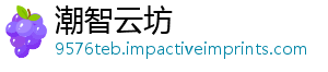 潮智云坊
